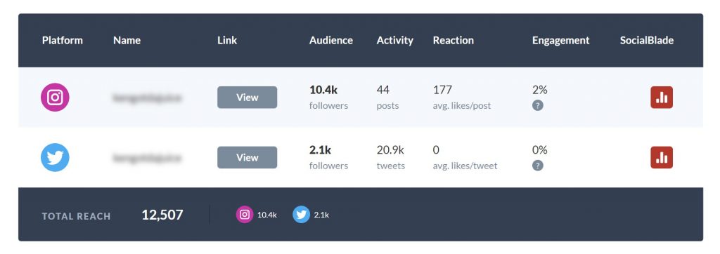 Influencer Profile on InfluencerBay